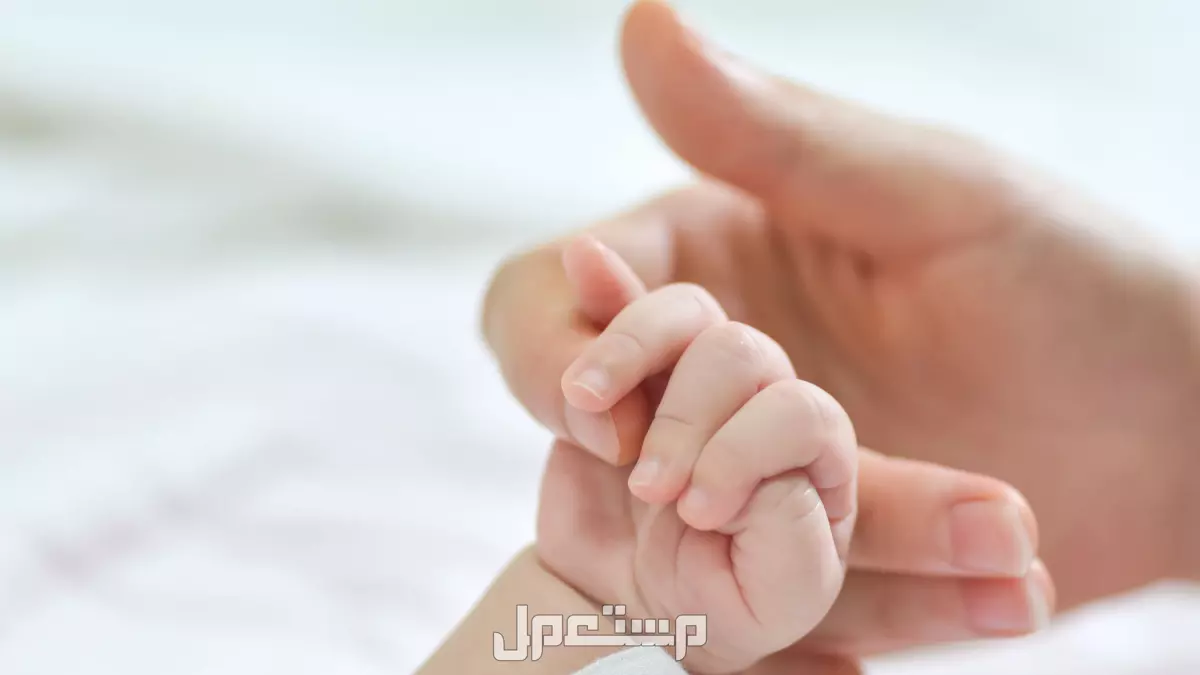 أجمل عبارات للزوجة بعد الولادة 2025 كيف تبارك لشخص جاته مولوده؟