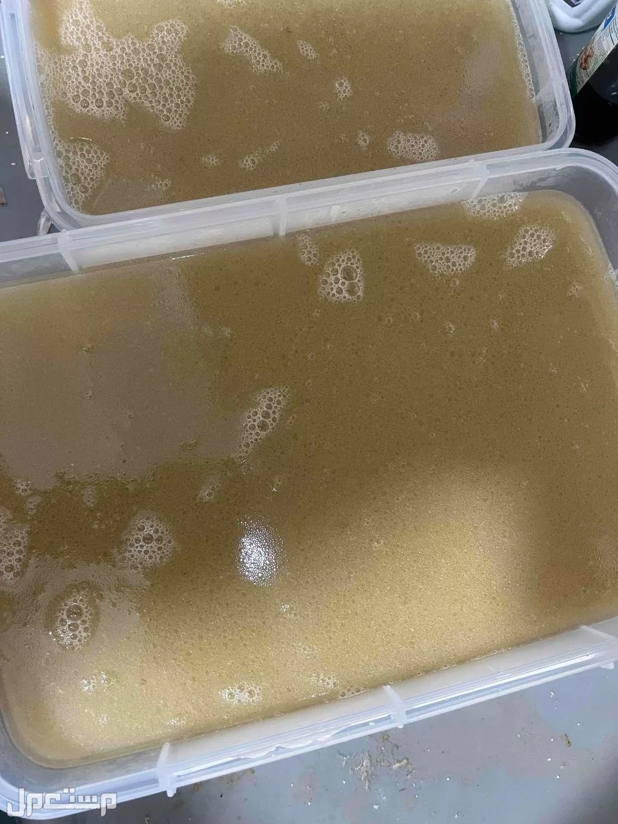 بيع كولاجين    بقري طبيعي مكة  العمرة الجديدة ابو مراغ