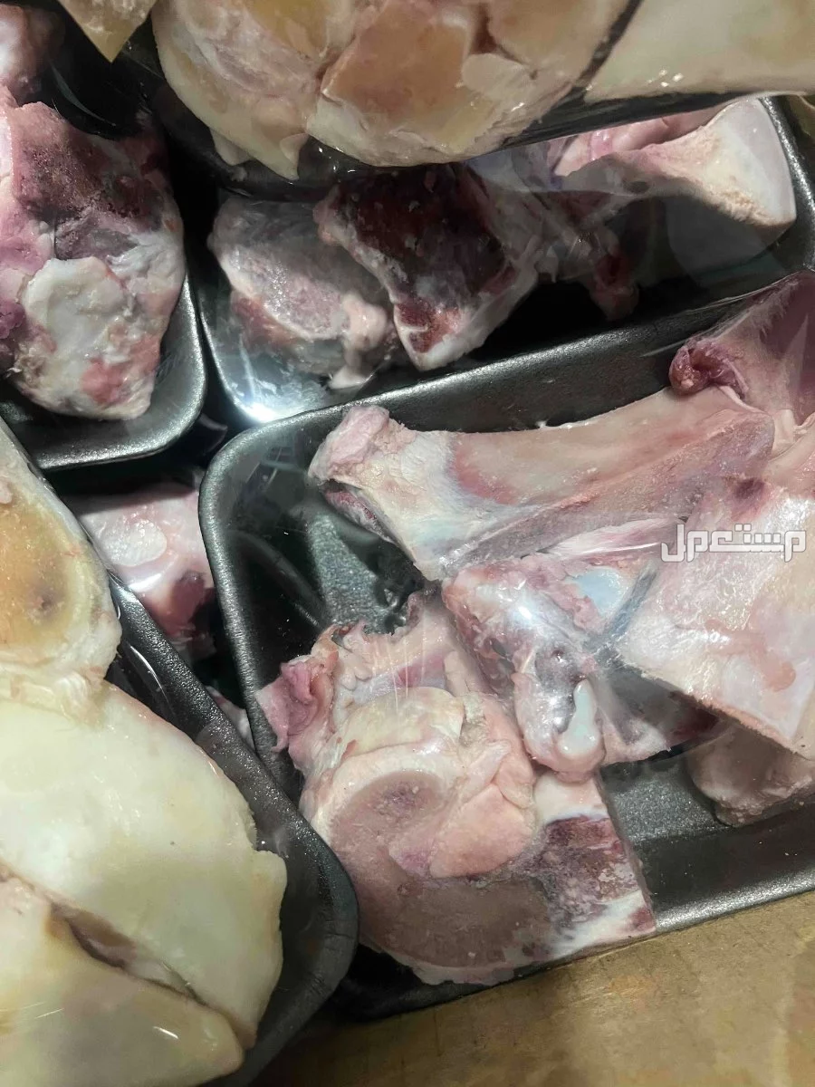 بيع كولاجين    بقري طبيعي مكة  العمرة الجديدة ابو مراغ