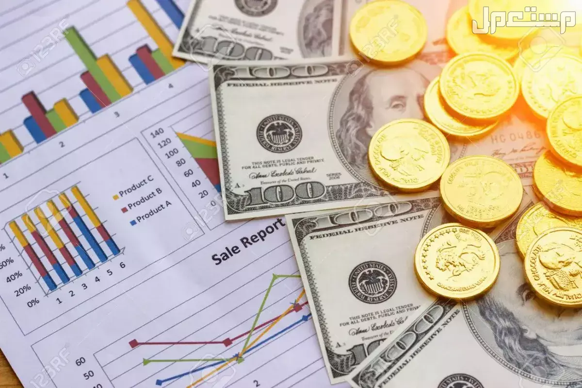 ما هي صناديق الاستثمار المتوافقة مع الشريعة الإسلامية 2025؟ صناديق الاستثمار الإسلامية 2025