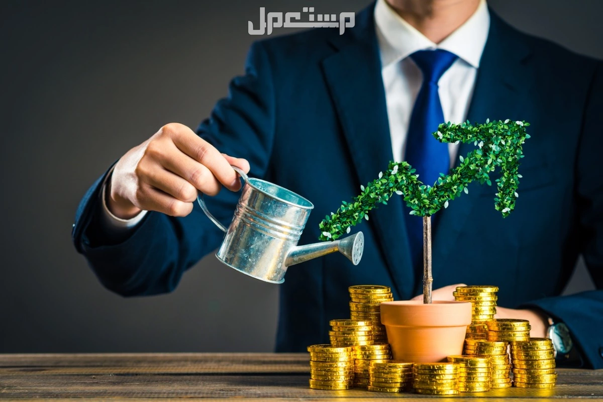 ما هي صناديق الاستثمار المتوافقة مع الشريعة الإسلامية 2025؟ صناديق استثمار حلال وفقًا للشريعة