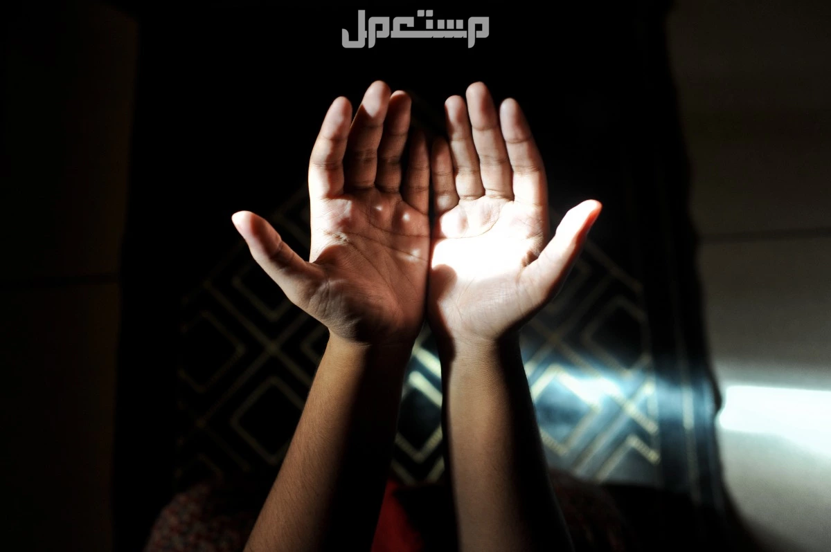 أفضل الأعمال في رمضان 1446..فرصة للتقرب والتغيير