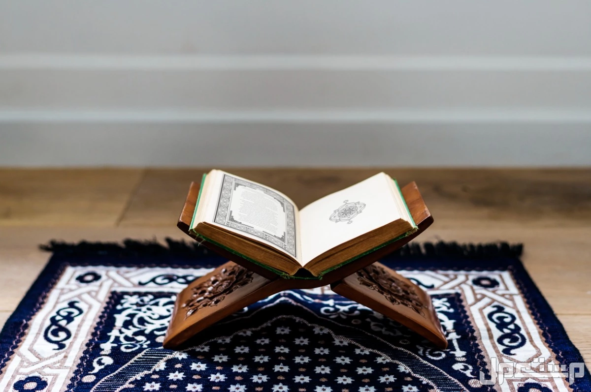 أفضل الأعمال في رمضان 1446..فرصة للتقرب والتغيير