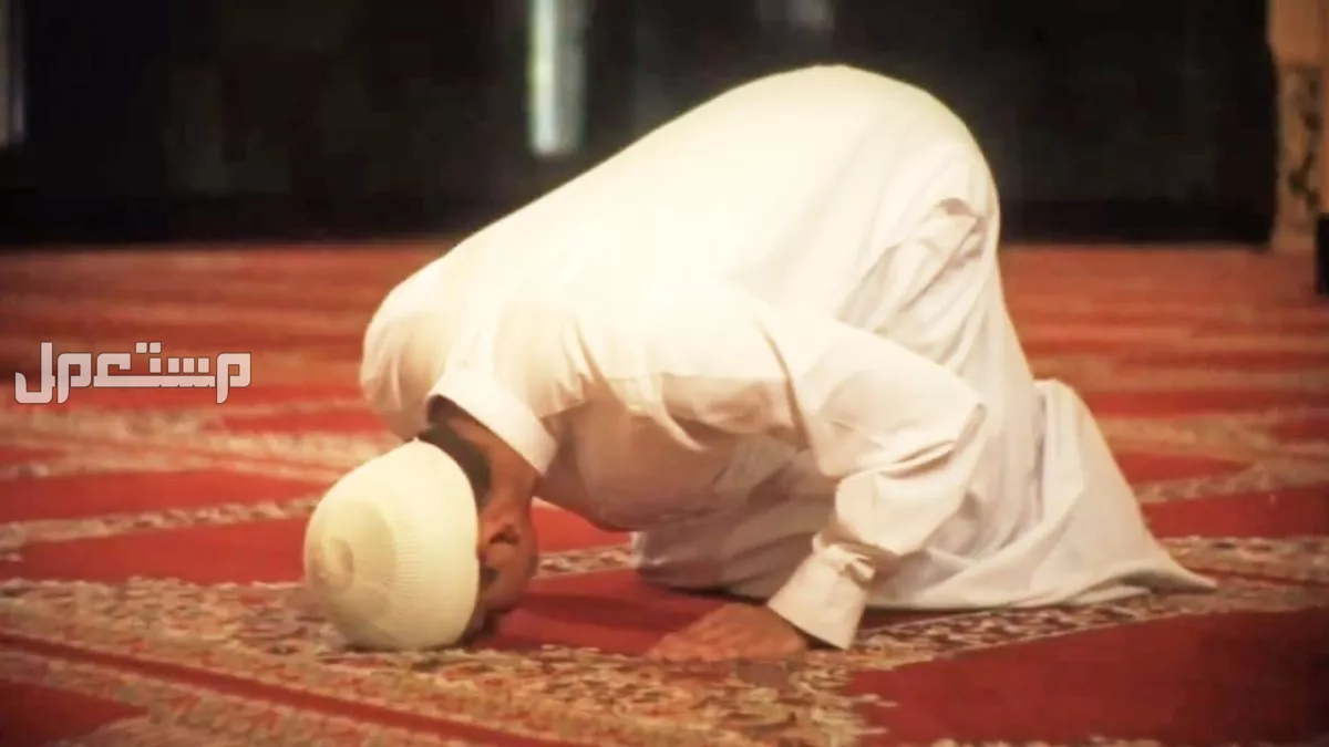 أفضل الأعمال في رمضان 1446..فرصة للتقرب والتغيير