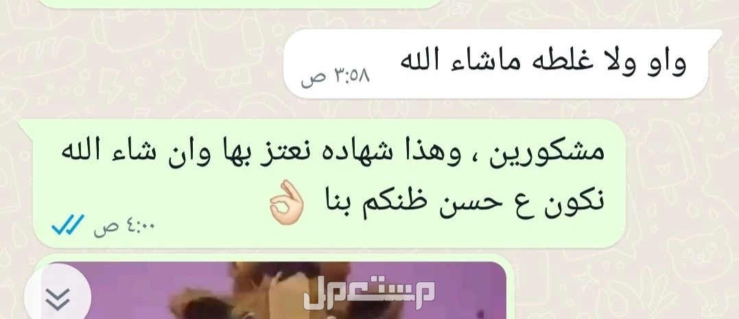 شخصيات كرتونية متنوعه  في الرياض بسعر 3900 ريال سعودي