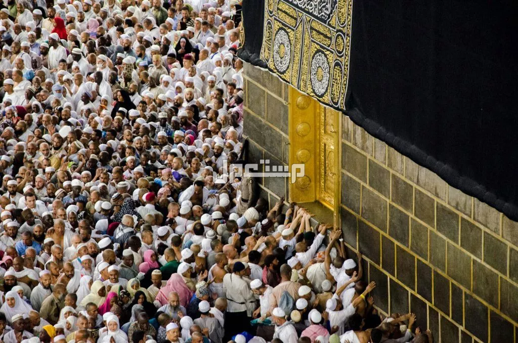 خطوات العمرة بالتفصيل: دليل شامل لأداء المناسك كيفية أداء العمرة للنساء
