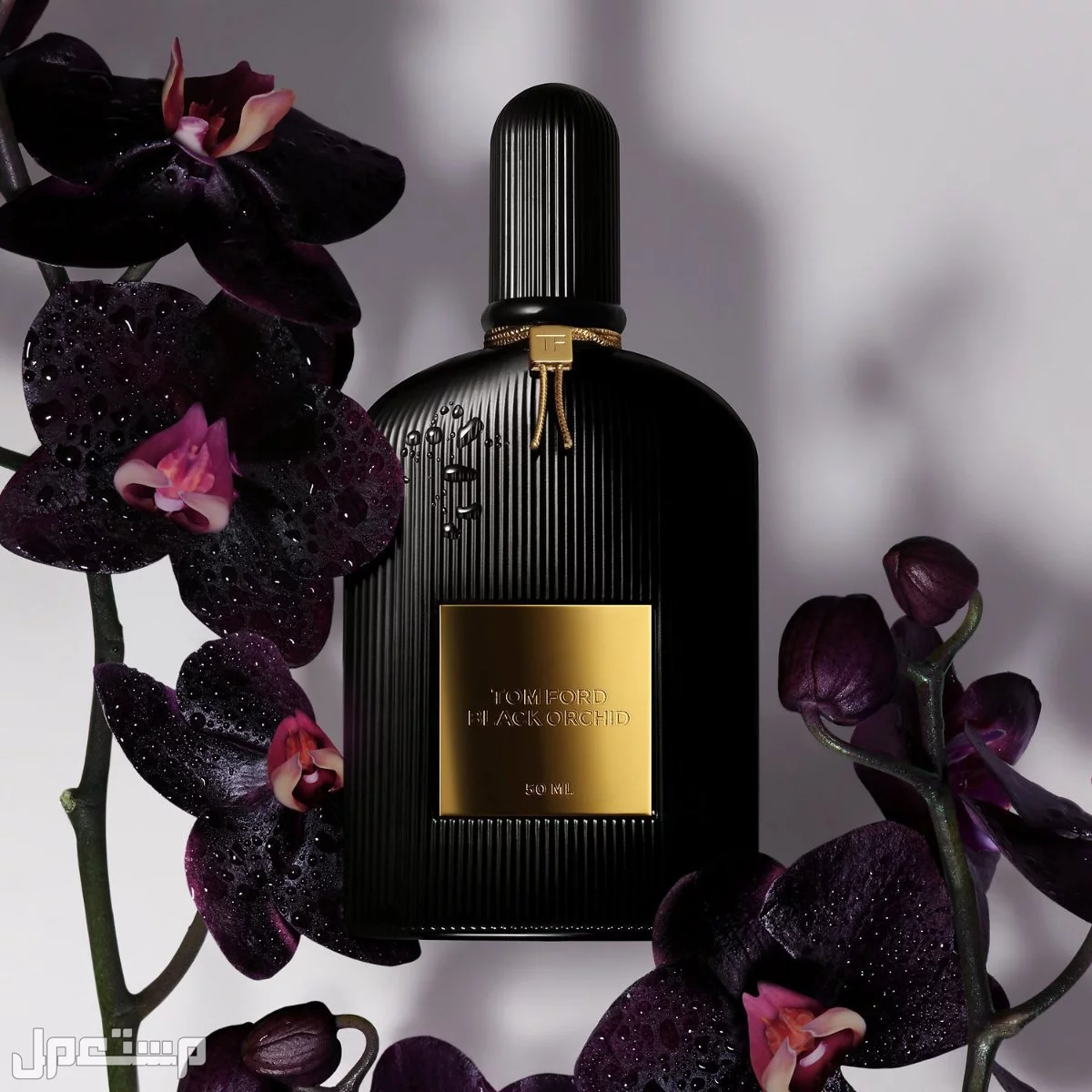 أفضل 10 عطور نسائية هادئة لعام 2025 عطور نسائية هادئة للمناسبات