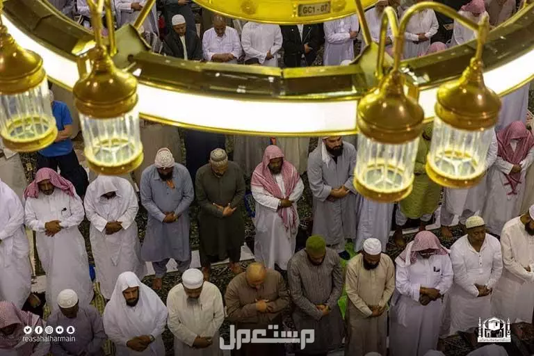 كم عدد ركعات صلاة التراويح وكيف تصلى بالخطوات (صور) كم عدد ركعات صلاة التراويح