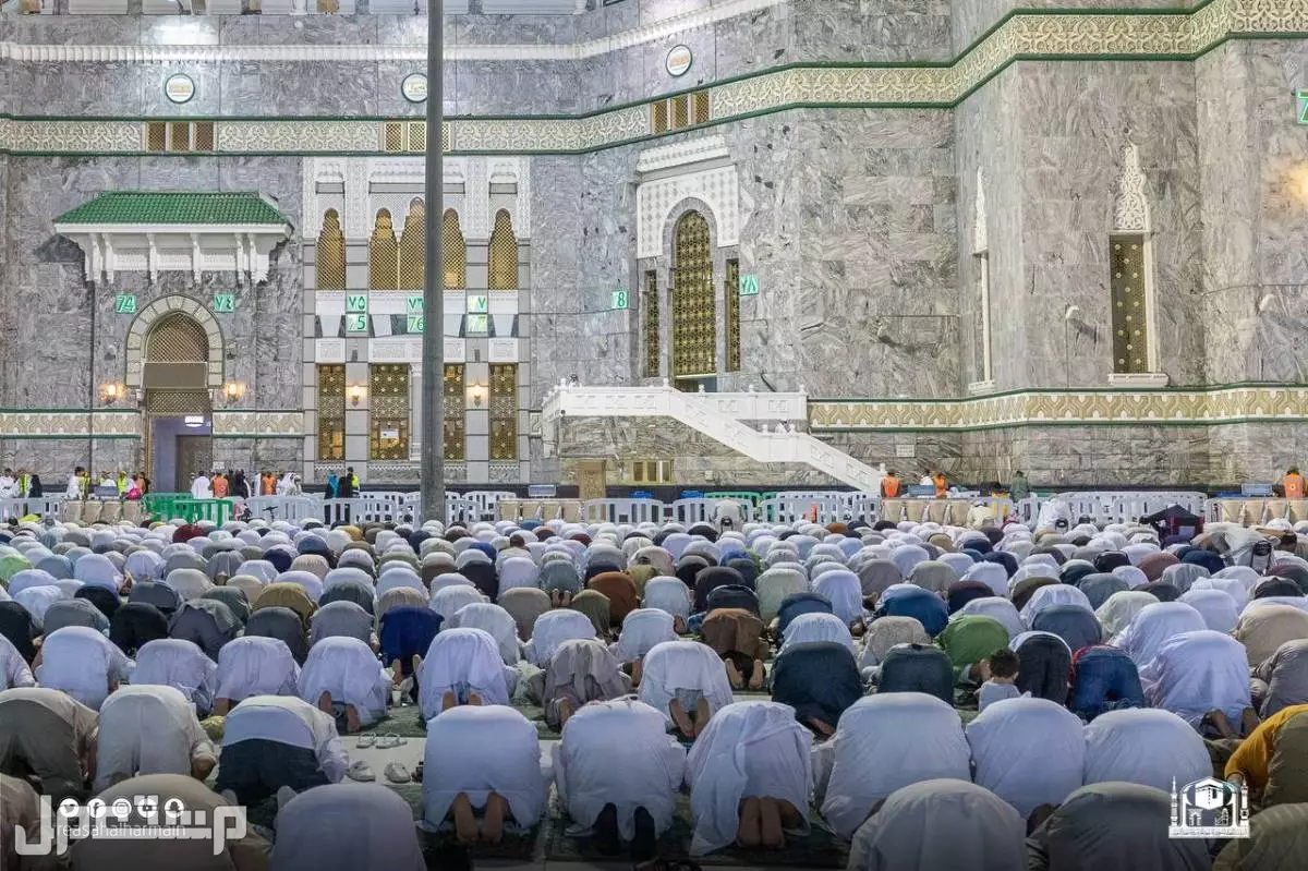 كم عدد ركعات صلاة التراويح وكيف تصلى بالخطوات (صور) كم عدد ركعات صلاة التراويح