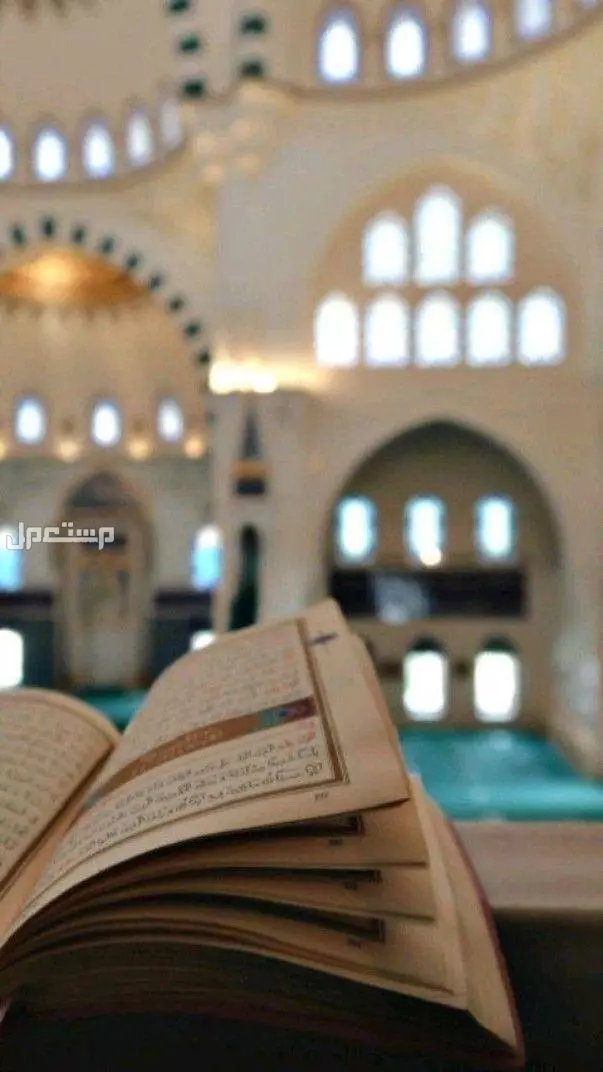 كم عدد ركعات صلاة التراويح وكيف تصلى بالخطوات (صور) كيف تصلى صلاة التراويح