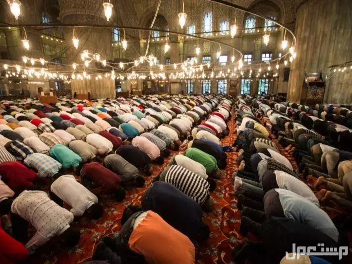 كم عدد ركعات صلاة التراويح وكيف تصلى بالخطوات (صور)