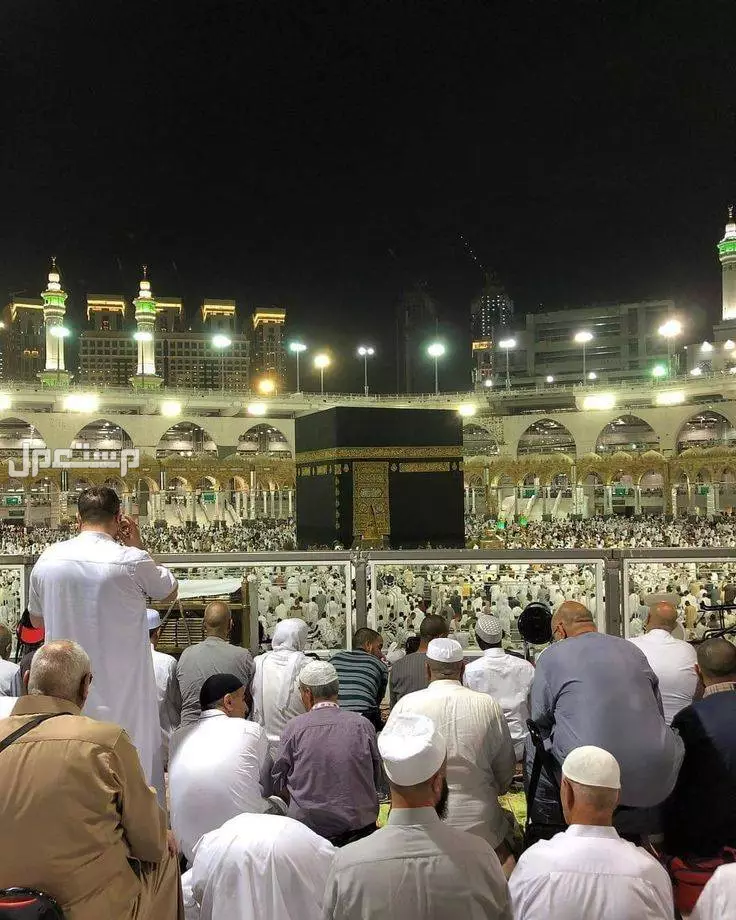 كم عدد ركعات صلاة التراويح وكيف تصلى بالخطوات (صور) حكم صلاة التراويح