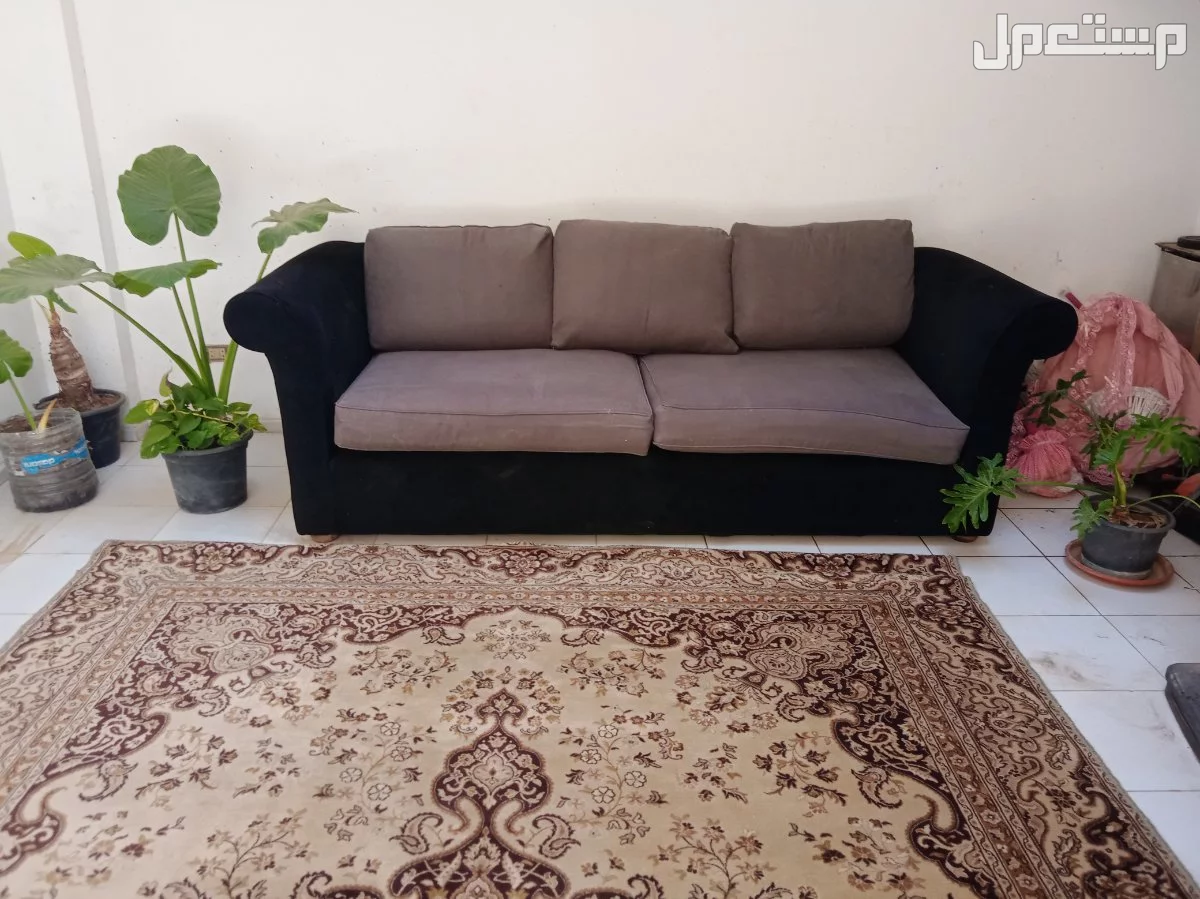 جمعيه احمد عرابي  في قسم مصر الجديدة بسعر 4 آلاف جنيه مصري