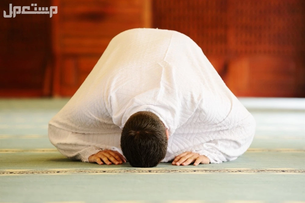 أفضل وقت لصلاة الوتر​ وفضل أدائها صلاة الوتر​
