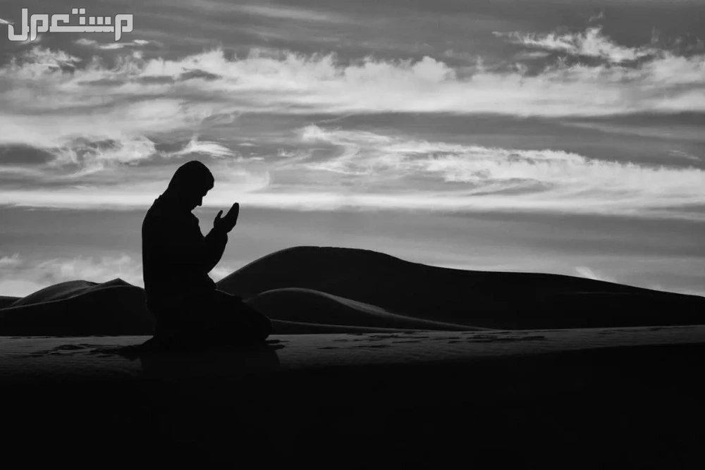 أفضل وقت لصلاة الوتر​ وفضل أدائها كيفية أداء صلاة الوتر