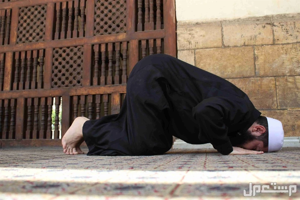 أفضل وقت لصلاة الوتر​ وفضل أدائها أداء صلاة الوتر