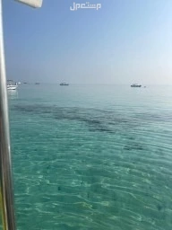 رحلات بحريه صيد وسباحه ونزهه بحريه لبياضه شباب وعوايل جده