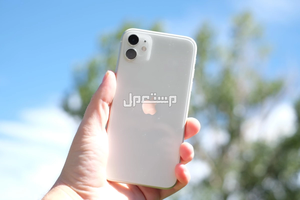 مواصفات وسعر أفضل هاتف آيفون اقتصادي 2025 ايفون iphone 11