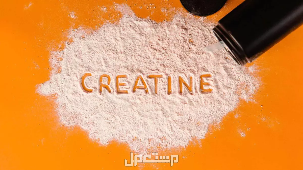 أفضل نوع كرياتين​ 2025 للرجال والنساء أفضل نوع كرياتين​ 2025