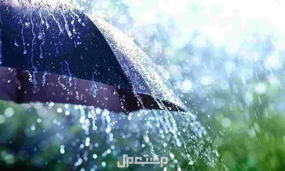 تفسير حلم نزول المطر للمتزوجة والعزباء​ تفسير حلم سقوط المطر داخل المنزل للمرأة المتزوجة