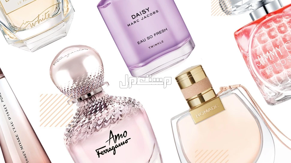 افضل شركات العطور في السعودية 2025.. روائح فاخرة بأسعار معقولة شركات العطور المميزة في المملكة العربية السعودية