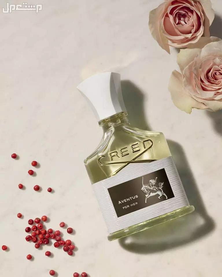 افضل شركات العطور في السعودية 2025.. روائح فاخرة بأسعار معقولة شركات العطور في السوق السعودي
