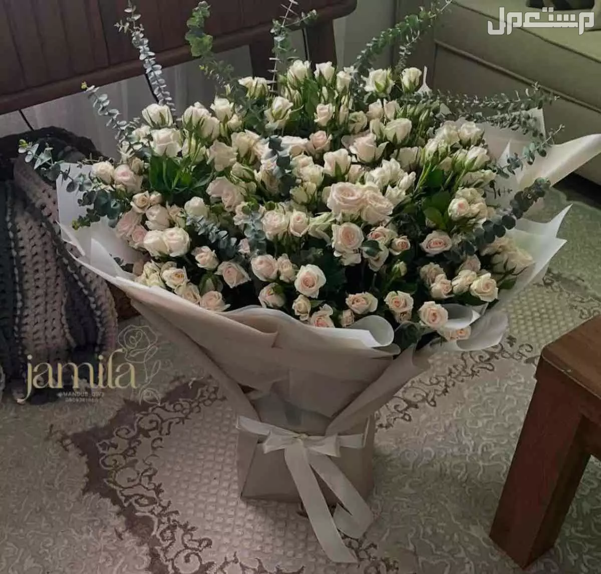 مندوب في الدوادمى بسعر 10 ريال سعودي