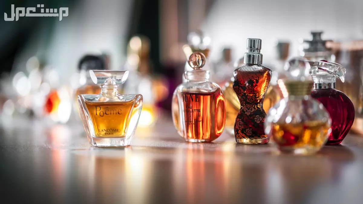 أشهر محلات العطور في الرياض قريبة من موقعي أفضل شركات العطور في السعودية