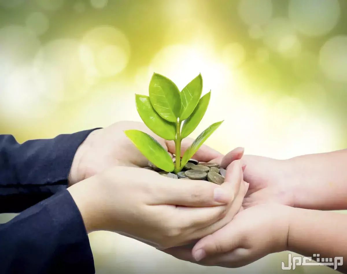 فضل الصدقة في رمضان وأفضل وقت لها الصدقة في العشر الأواخر