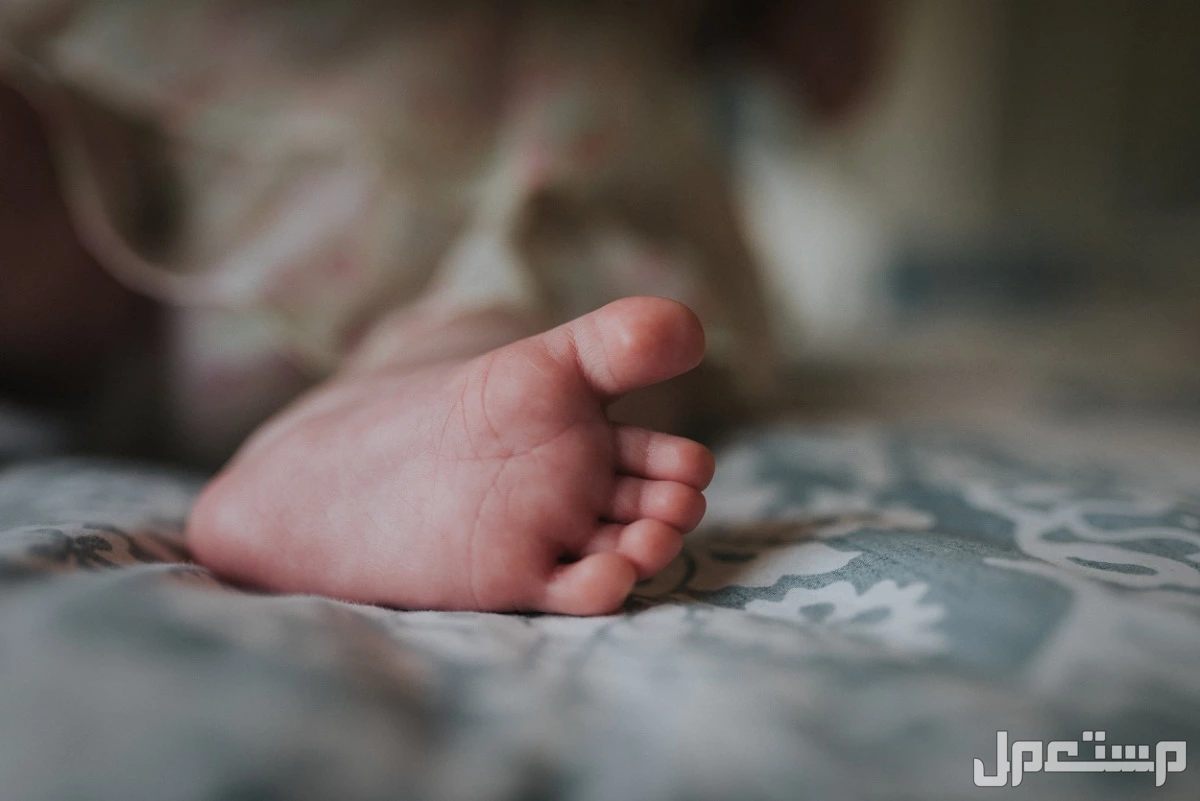 عقيقة المولود الجديد في السعودية.. الأماكن والعادات لاستقبال المولود عقيقة المولود الجديد في السعودية