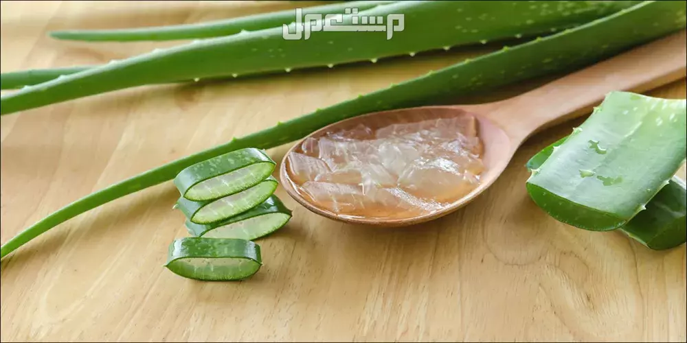فوائد جل الصبار للوجه وطريقة استخدامه فوائد جل الصبار للوجه