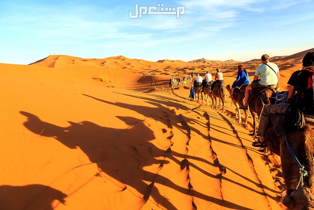 أفضل أماكن ولوازم التخييم الصحراوي في السعودية 2025 أفضل أماكن التخييم الصحراوي في السعودية