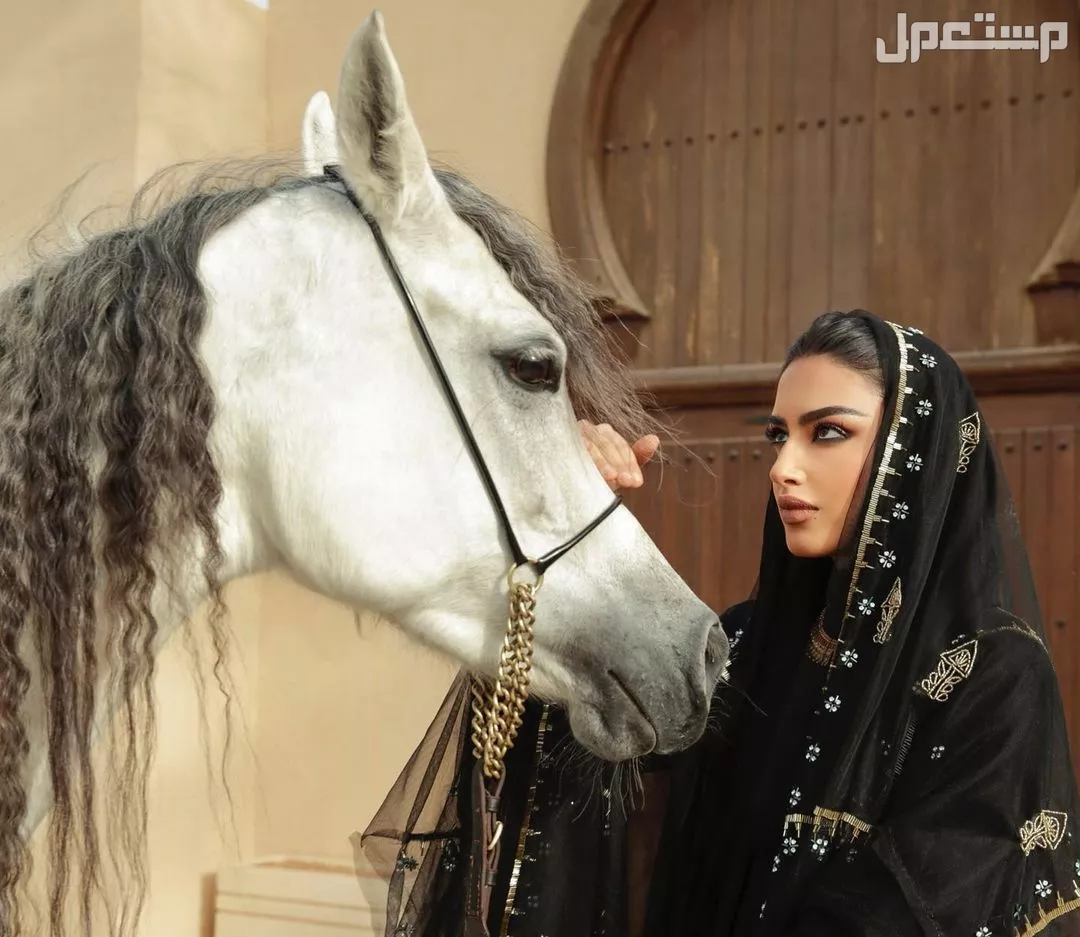 شعر وقصائد عن يوم التأسيس مكتوبة 2025 يوم التأسيس السعودي