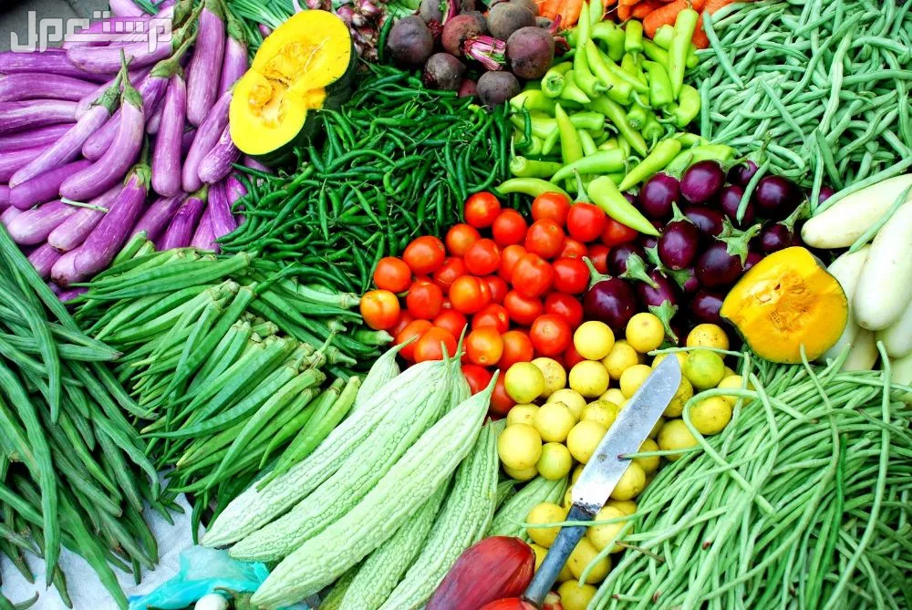 جدول مواعيد زراعة الخضروات والفاكهة 2025 بالصور جدول مواعيد زراعة الخضروات