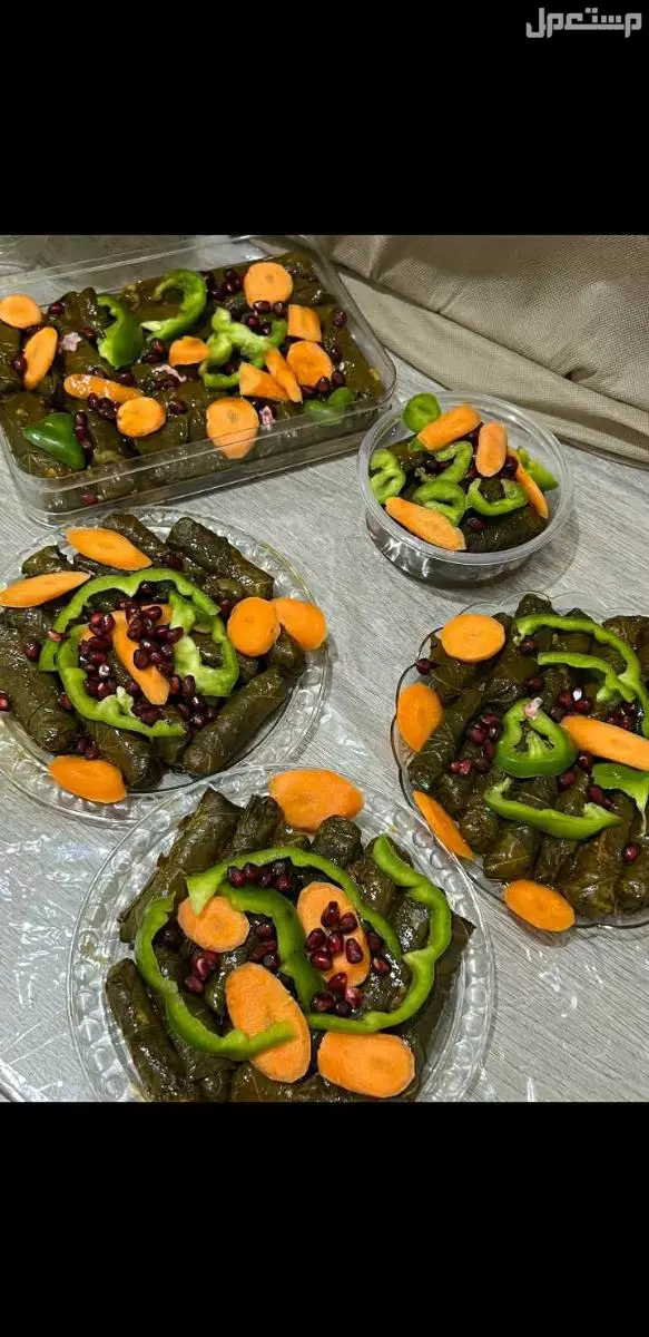 للحجز مفرزنات في شرق الرياض كبة سمبوسة 60
