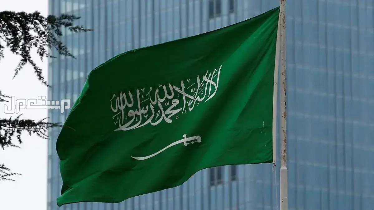 شروط وتفاصيل الحصول على تأشيرة عمل دون كفيل في السعودية 2025 تأشيرة زيارة عمل للسعودية