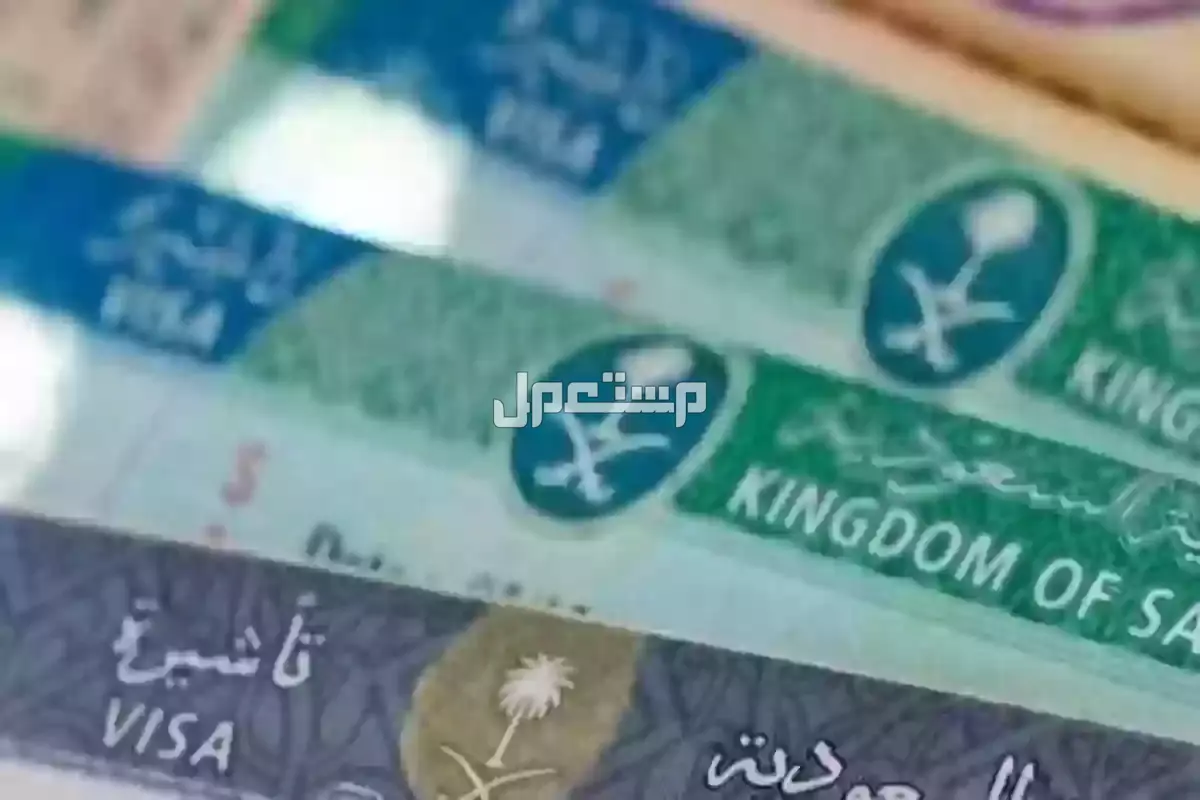 شروط وتفاصيل الحصول على تأشيرة عمل دون كفيل في السعودية 2025 تأشيرة عمل دون كفيل في السعودية 2025