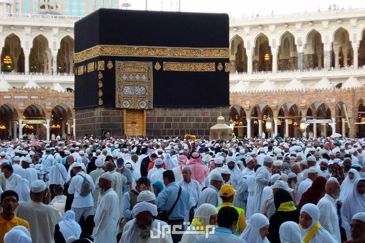 تفسير حلم الاستعداد للعمرة في المنام.. هل إشارة لأداء المناسك قريبًا؟ تفسير حلم الاستعداد للعمرة في المنام