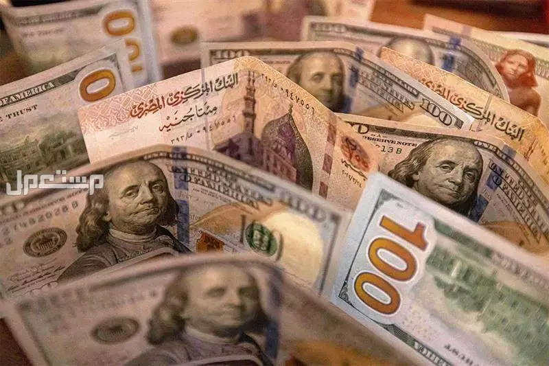 سعر الريال السعودي مقابل الجنيه المصري في السوق السوداء 2025 سعر الدولار مقابل الجنيه المصري في السوق السوداء