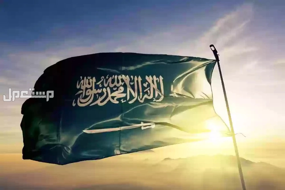 ما هو تفسير الاحتفال باليوم التأسيس السعودي في المنام؟ تفسير شامل ما هو تفسير الاحتفال باليوم التأسيس السعودي في المنام؟ تفسير شامل