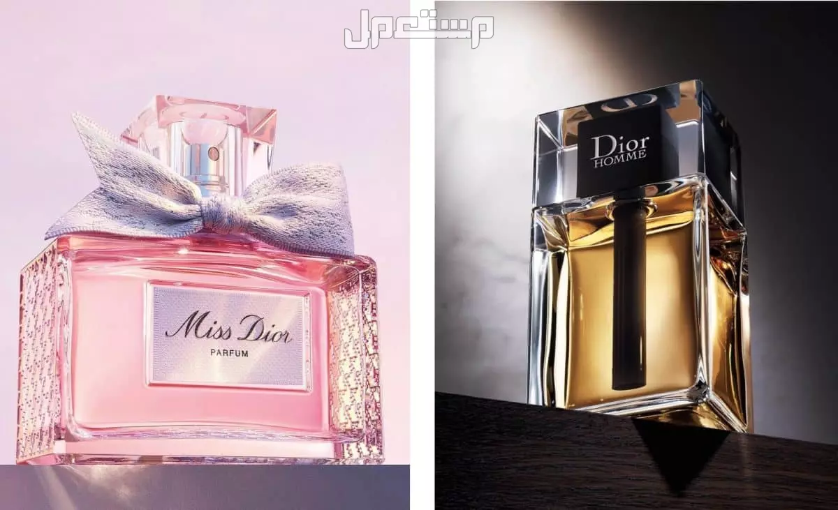 الفرق بين أنواع العطور وكيفية اختيار العطر المثالي لك نسبة تركيز العطور الأصلية