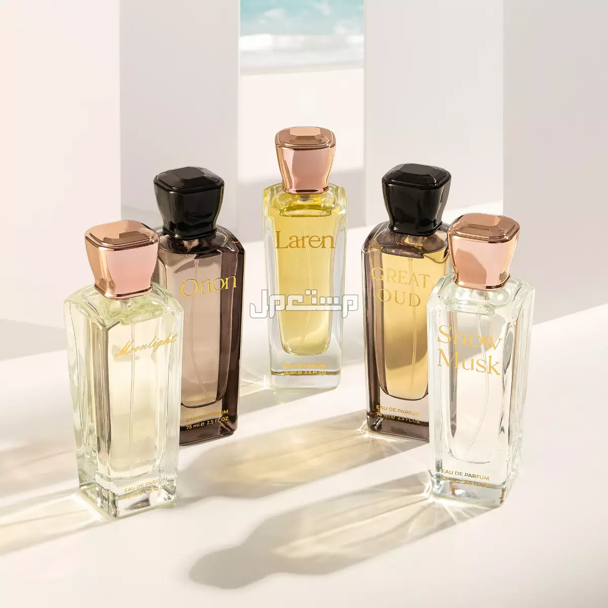 الفرق بين أنواع العطور وكيفية اختيار العطر المثالي لك تركيزات العطور بالترتيب