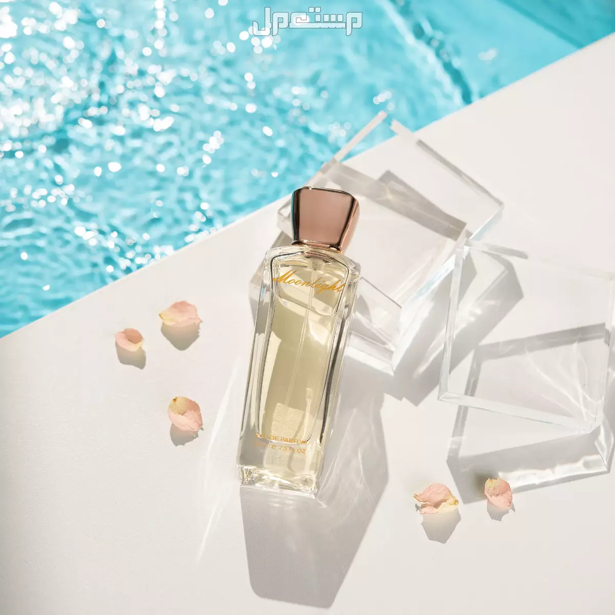 الفرق بين أنواع العطور وكيفية اختيار العطر المثالي لك أنواع العطور النسائية
