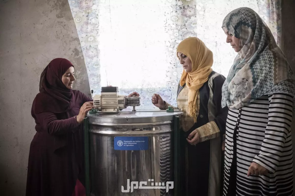 شروط ومتطلبات الدعم الريفي للنساء: المستندات اللازمة وكيفية التقديم ما هي شروط الدعم الريفي للنساء؟