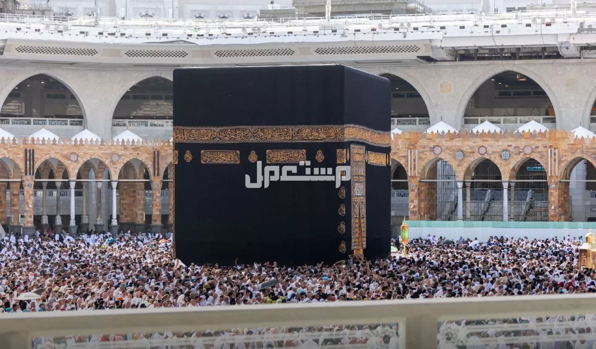 رابط التسجيل في حملة الراجحي للحج 1446 وشروط القبول رابط التسجيل في حملة الراجحي للحج 1446