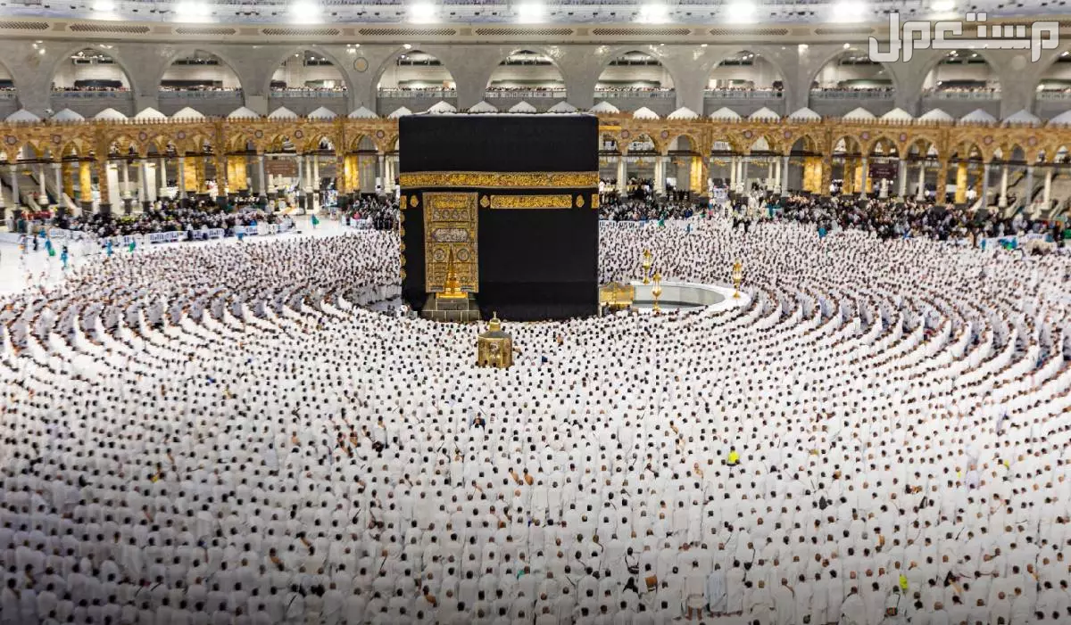 رابط التسجيل في حملة الراجحي للحج 1446 وشروط القبول حملة الراجحي للحج 1446