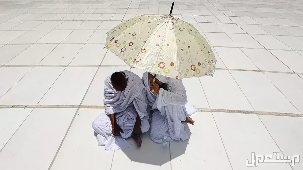 رابط التسجيل في حملة الراجحي للحج 1446 وشروط القبول