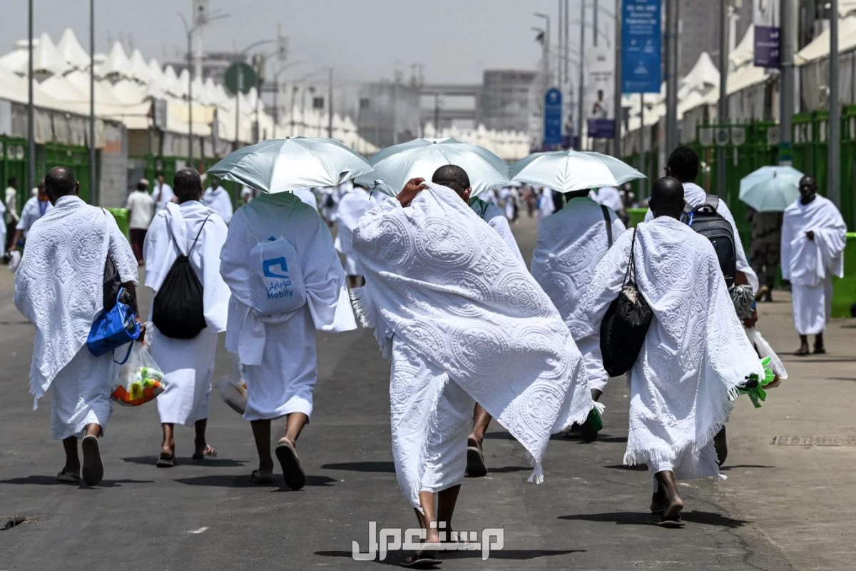 رابط التسجيل في حملة الراجحي للحج 1446 وشروط القبول