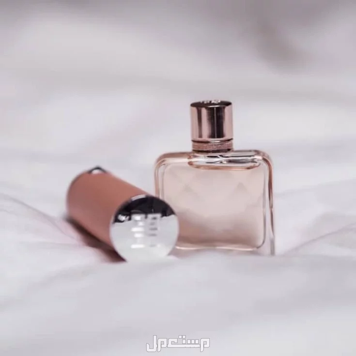 أسبوع العطور في جدة: أبرز الفعاليات والعروض وأحدث الاتجاهات أسبوع العطور بجدة: أبرز الماركات