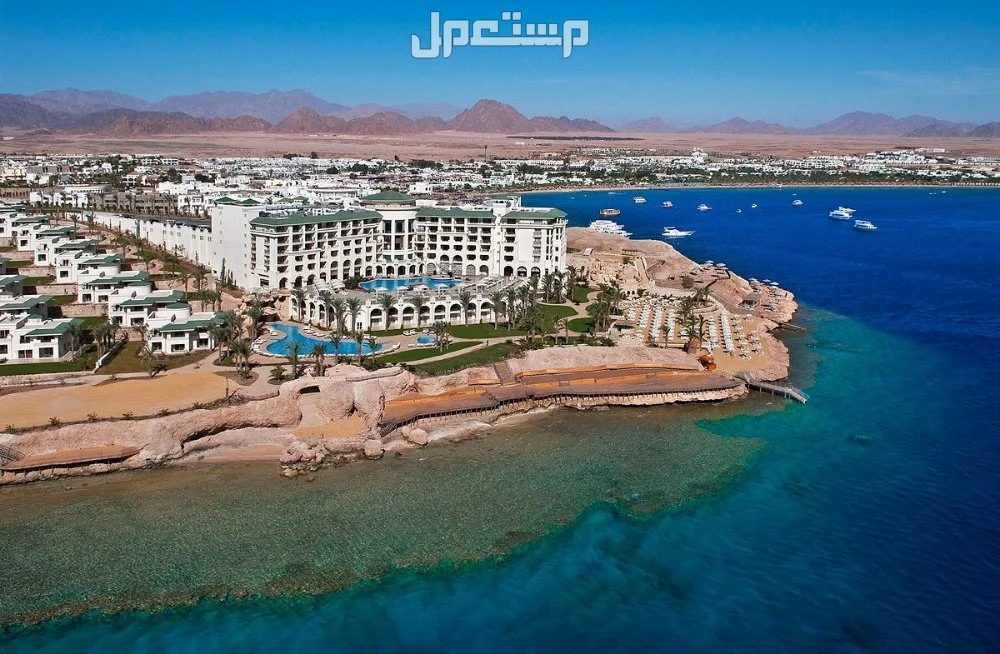 أفضل 10 فنادق في البحر الأحمر 2025 مع الصور والأسعار أفضل 10 فنادق في البحر الأحمر 2025